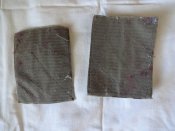 DSC08544.JPG