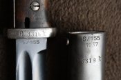 S155y37.jpg
