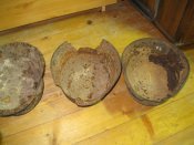 IMG_4234.jpg