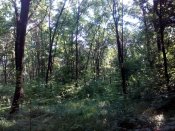 IMG_20170626_083945.jpg
