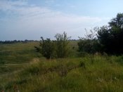 IMG_20170626_083555.jpg