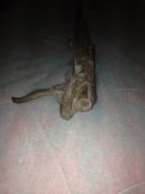 image.jpeg