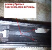Личинка(3).jpg