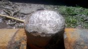 IMG_20170628_145531.jpg