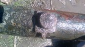 IMG_20170628_114339.jpg