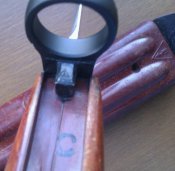 IMAG1826-1.jpg