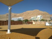 IMG_20170629_081442.jpg