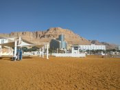 IMG_20170629_081618.jpg