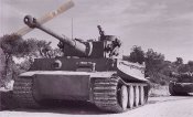 501Tiger142-4.jpg
