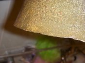 DSCN1214.JPG