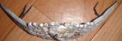 DSC02138.JPG