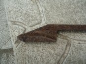 DSC07446.JPG