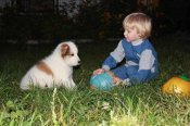IMG_1102.JPG