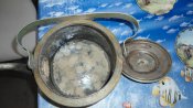 DSC01195.jpg