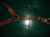 DSC07205.jpg