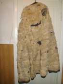 DSC07058.jpg