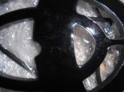 DSCN0618.jpg