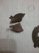 20170703_233827.jpg