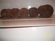 100_3081.jpg