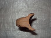 DSC01842.jpg