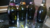 IMG_20170706_151553.jpg