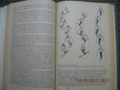 DSCN3072.JPG
