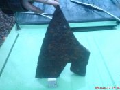DSC00904.jpg