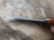 20170704_144924.jpg