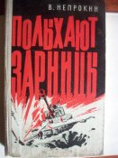 Полыхают зарницы