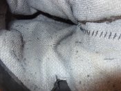 SDC12212.JPG