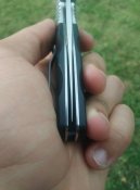 IMG_20170708_155721.jpg