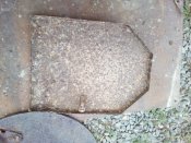 IMG_20170709_192239.jpg