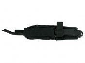 ZT0180_1.jpg