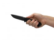 ZT0180_2.jpg