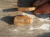 CAM01611 (Копировать).jpg