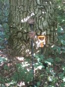 20170710_091819.jpg