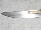RSCN9824.JPG