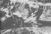 SS-108934.jpg
