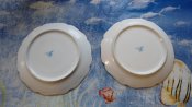 DSC01197.jpg