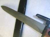 STA73429.JPG