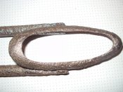 DSC01981.jpg