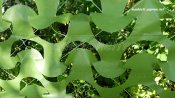 IMG_20170709_172843.jpg