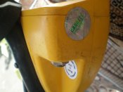 P1010005.JPG