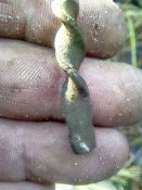 IMG_20170714_182124.jpg