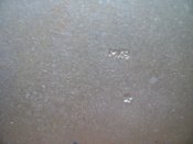 DSC00028.JPG