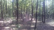 IMG_20170716_171835.jpg