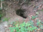 IMG_20170716_171634.jpg