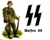 WP- (93).JPG
