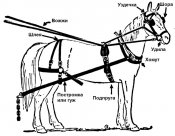 Иллюстрация_конской_упряжи (Копировать).jpg