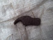 IMG_20170717_135720.jpg